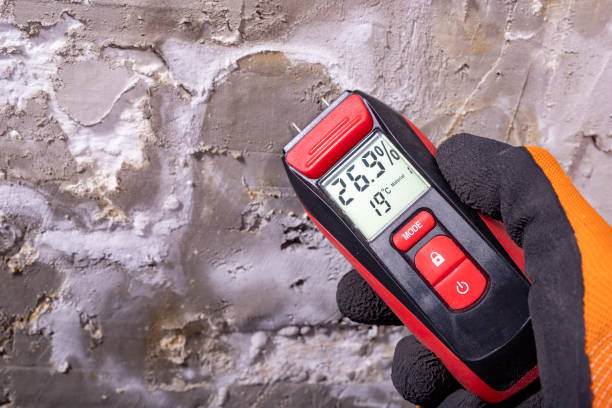Best Attic Mold Removal  in Kayenta, AZ