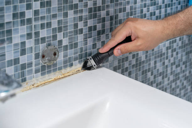Best Office Mold Removal Services  in Kayenta, AZ